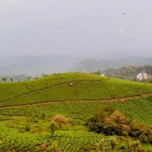 Pothamedu Viewpoint