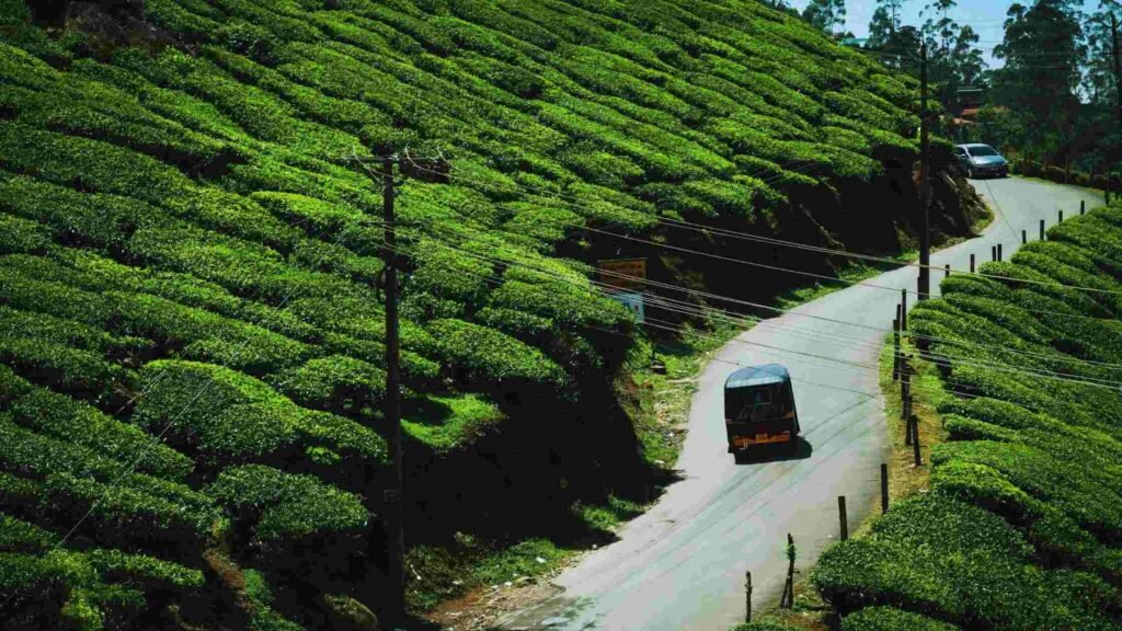 Munnar Dormitory Room